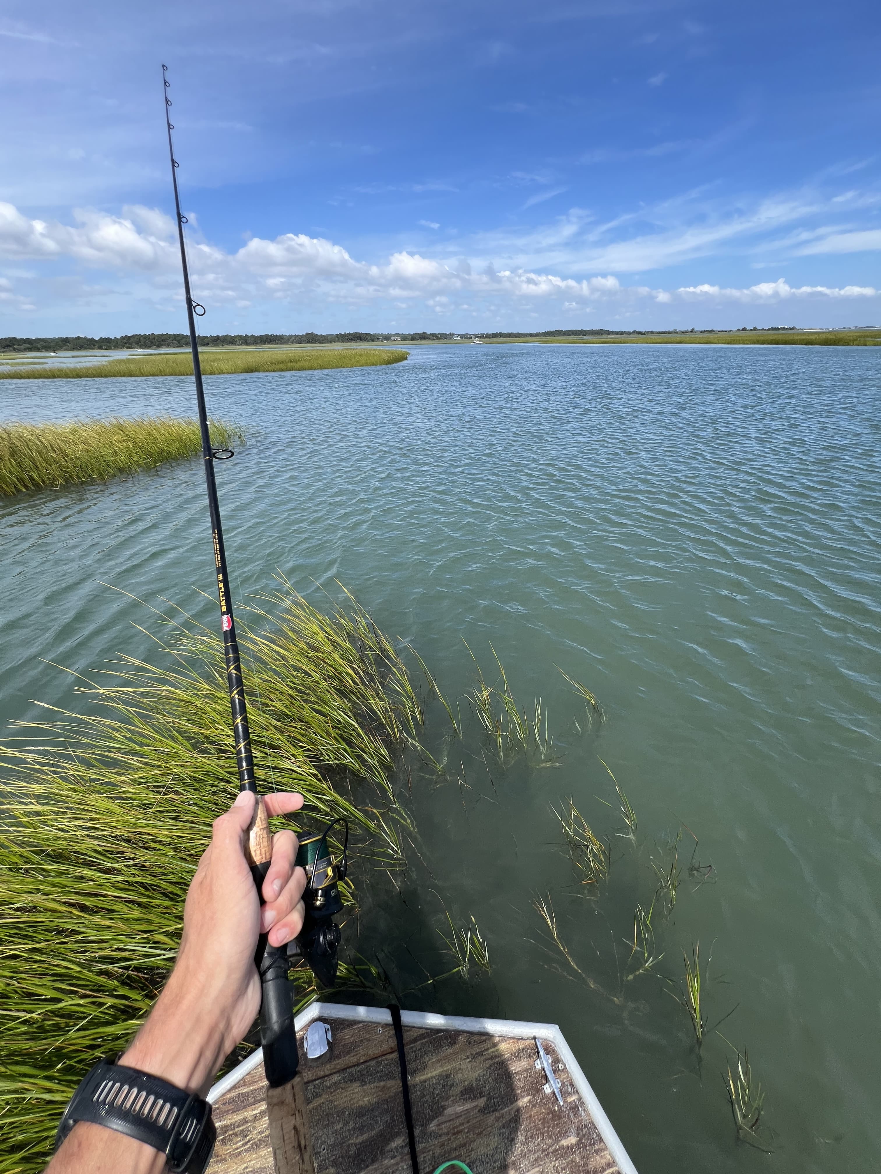 Masonboro Spot Fishing 1 redfish charter photo